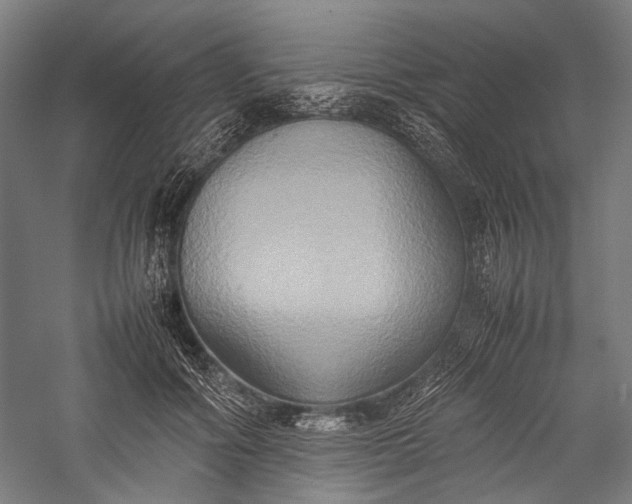 X0000057040602200509231449