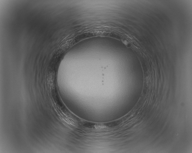 X0000057040605200509231449