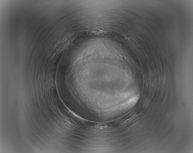 X0000057040606200509231449