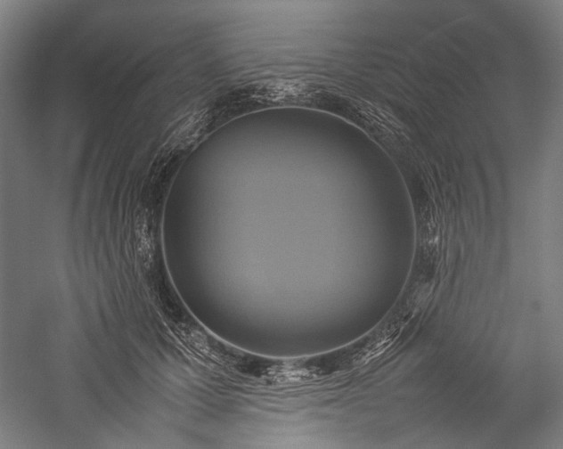 X0000057040607200509231449