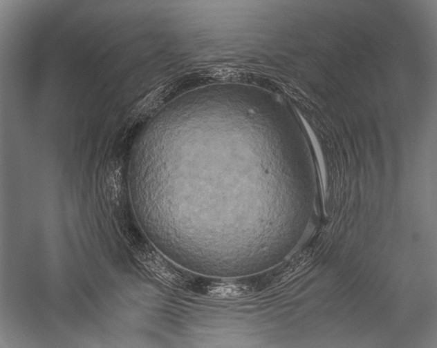 X0000057040611200509231449