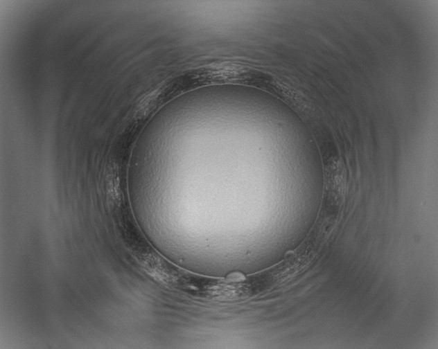 X0000057040615200509231449