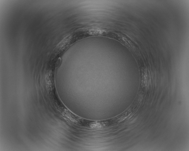 X0000057040616200509231449