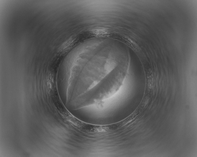X0000057040618200509231449