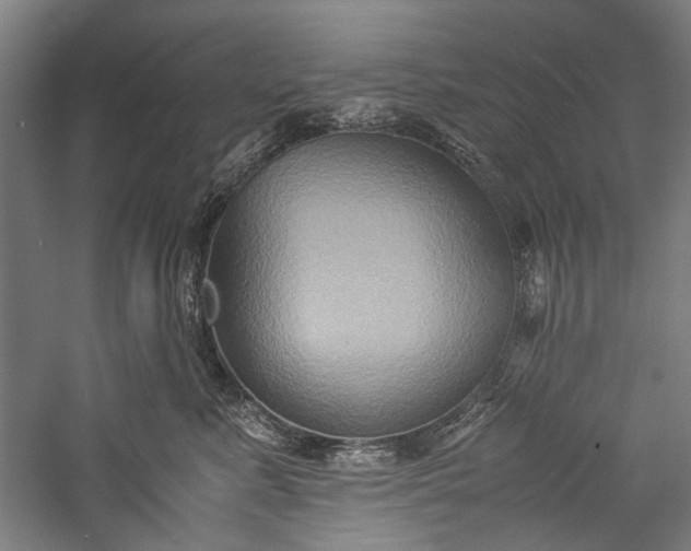 X0000057040619200509231449