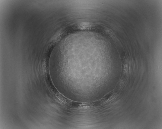 X0000057040620200509231449