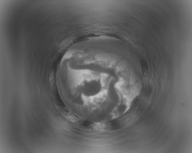 X0000057040623200509231448
