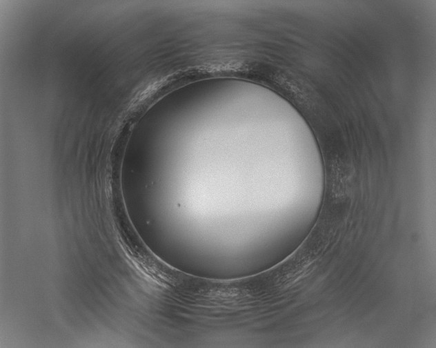 X0000057040631200509231448