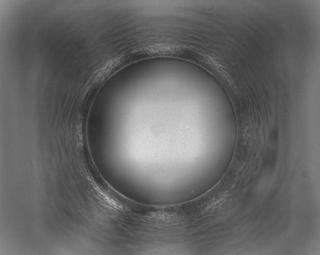 X0000057040633200509231448