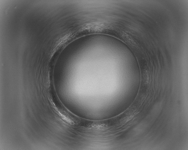 X0000057040638200509231448