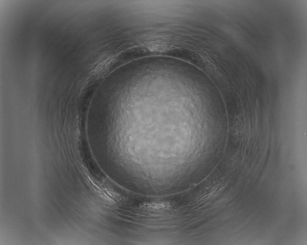 X0000057040639200509231448