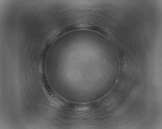 X0000057040643200509231448