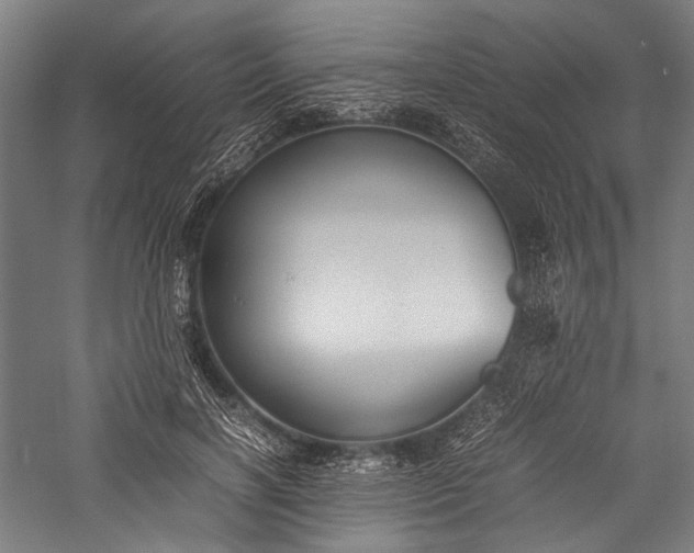 X0000057040646200509231448