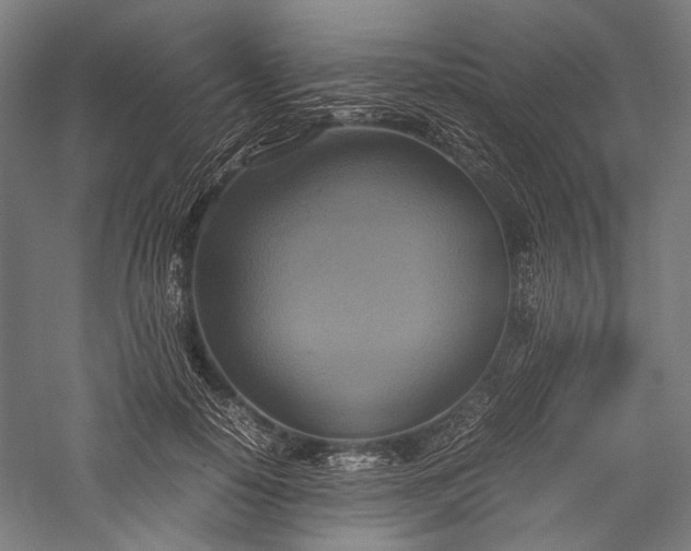 X0000057040650200509231448
