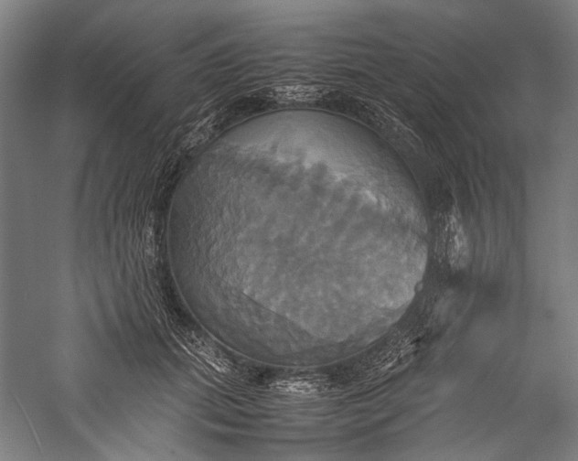 X0000057040655200509231448