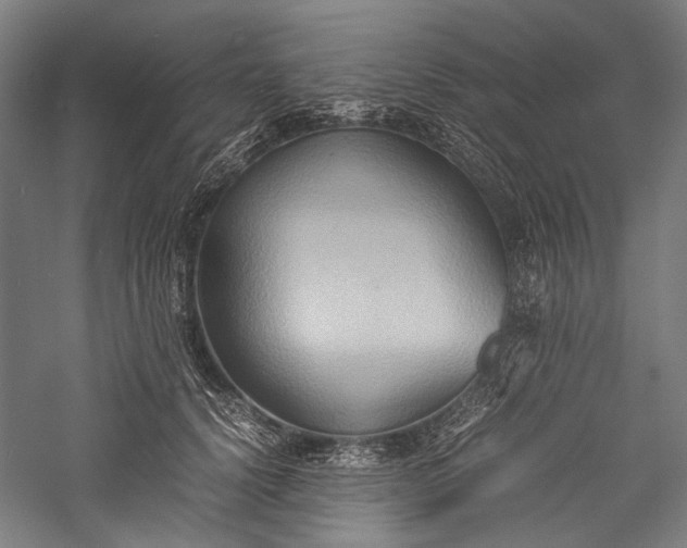X0000057040656200509231448
