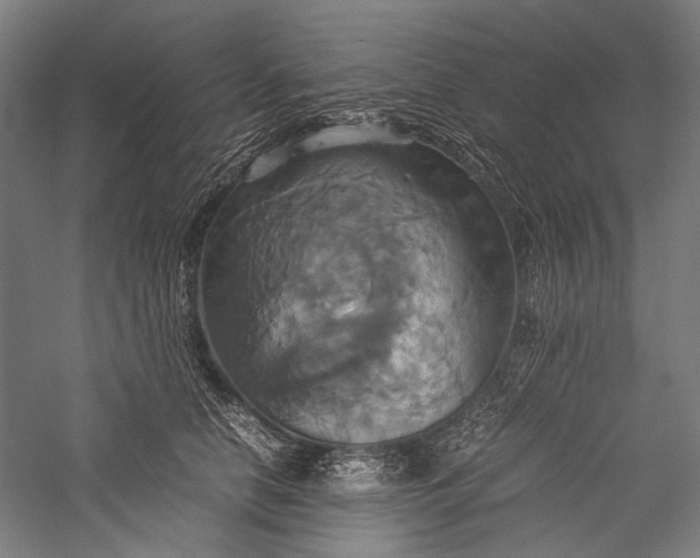 X0000057040658200509231448