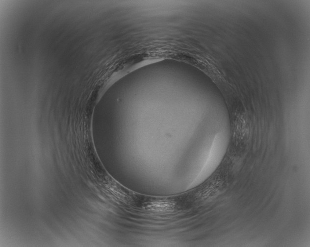 X0000057040659200509231448