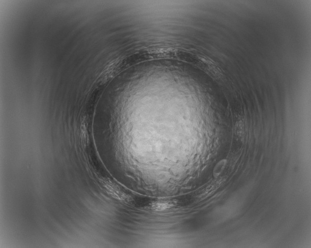 X0000057040662200509231448