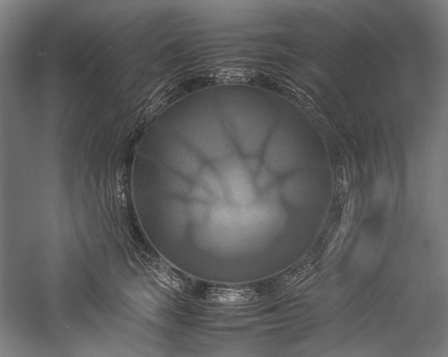 X0000057040663200509231448