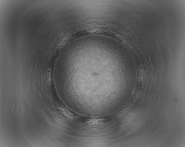 X0000057040664200509231448