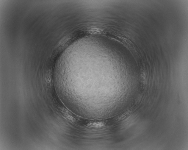 X0000057040665200509231448