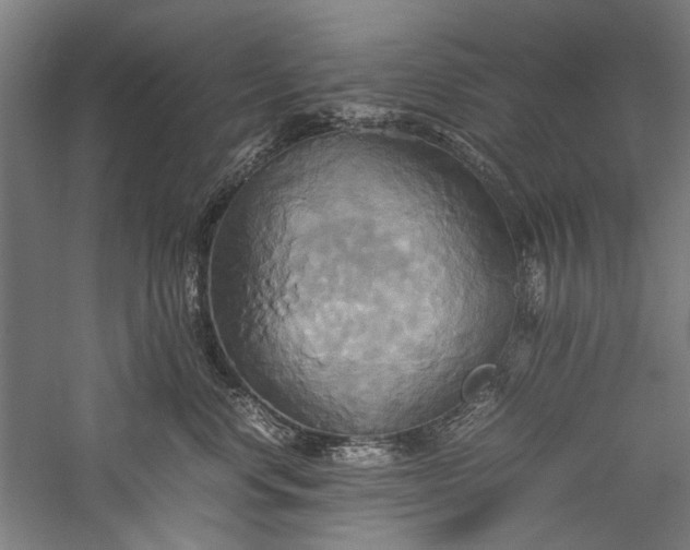X0000057040668200509231448