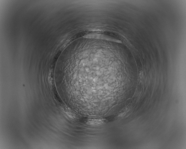 X0000057040671200509231448