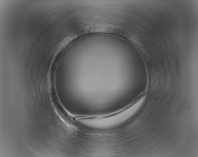 X0000057040678200509231448