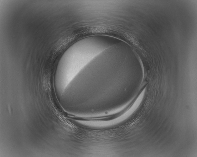 X0000057040681200509231447