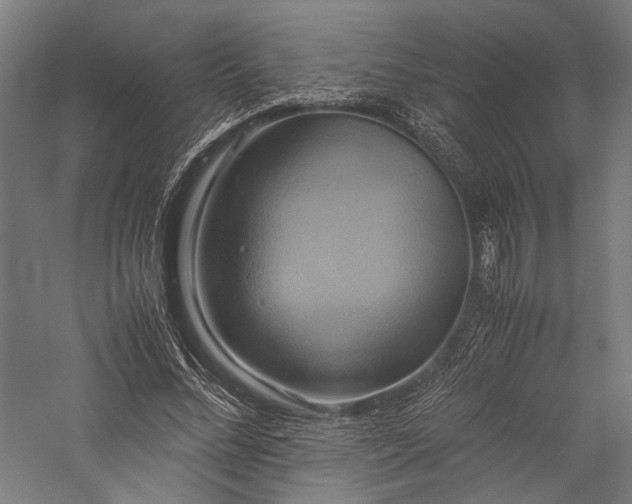 X0000057040684200509231447
