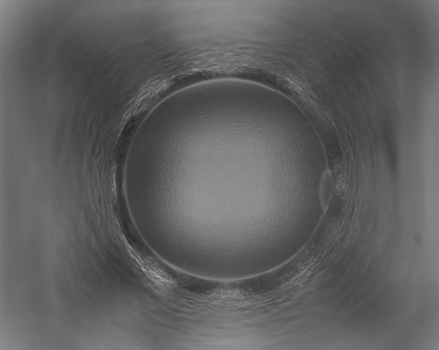X0000057040685200509231447