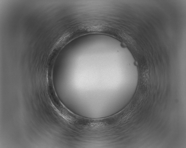 X0000057040686200509231447