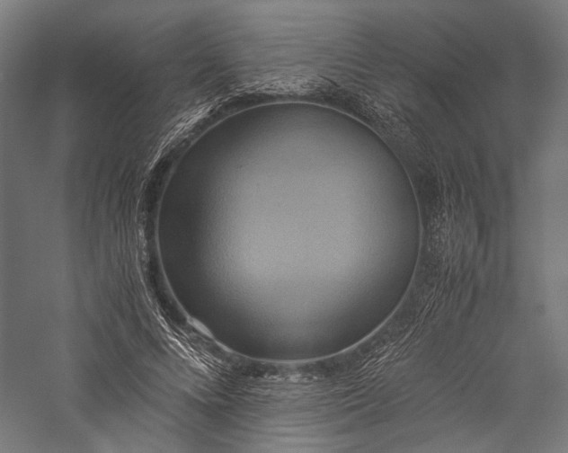 X0000057040688200509231447