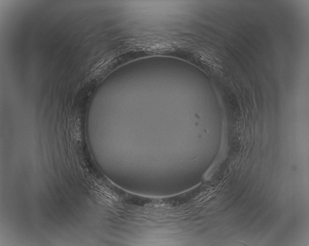 X0000057040689200509231447