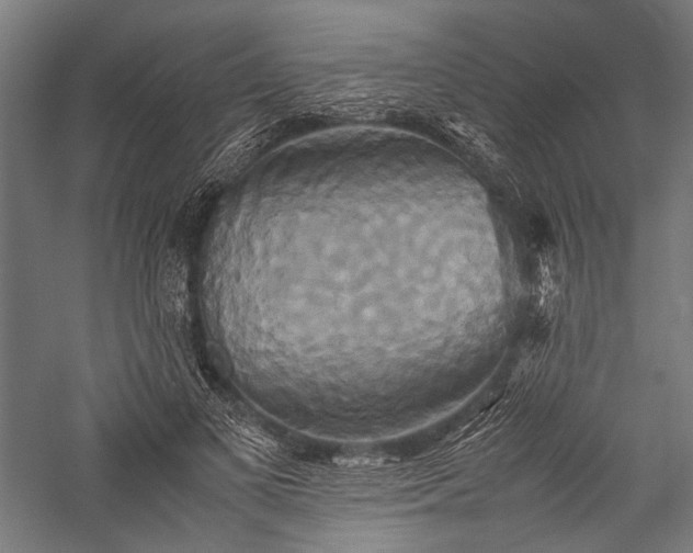 X0000057040693200509231447