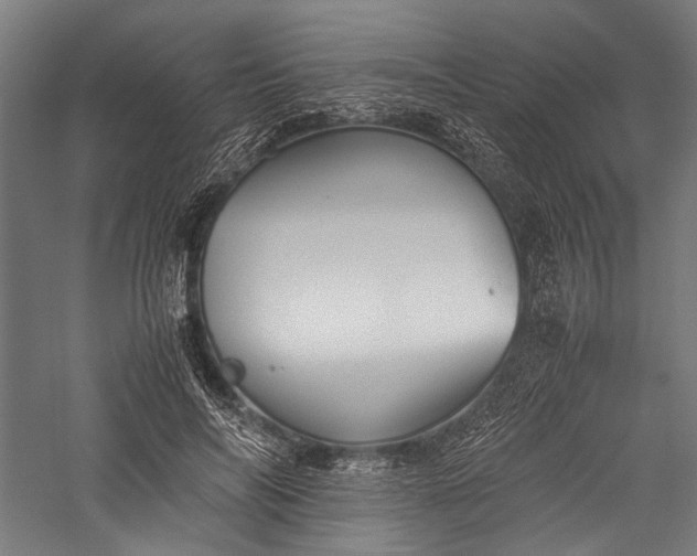 X0000057040694200509231447