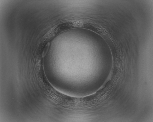 X0000057040697200509231447