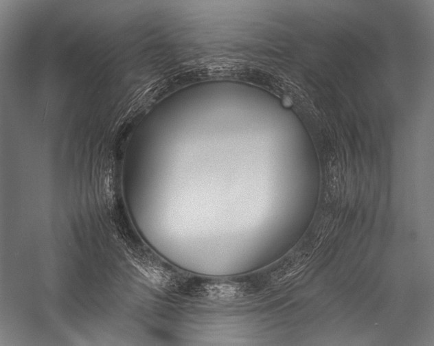 X0000057040698200509231447