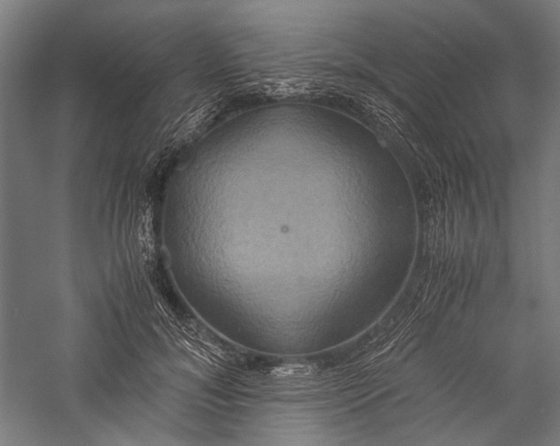 X0000057040700200509231447