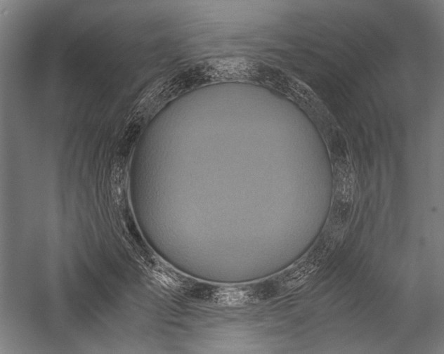 X0000057040701200509231447