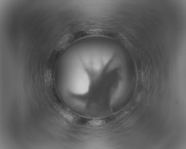 X0000057040711200509231447