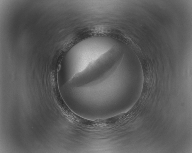 X0000057040715200509231447