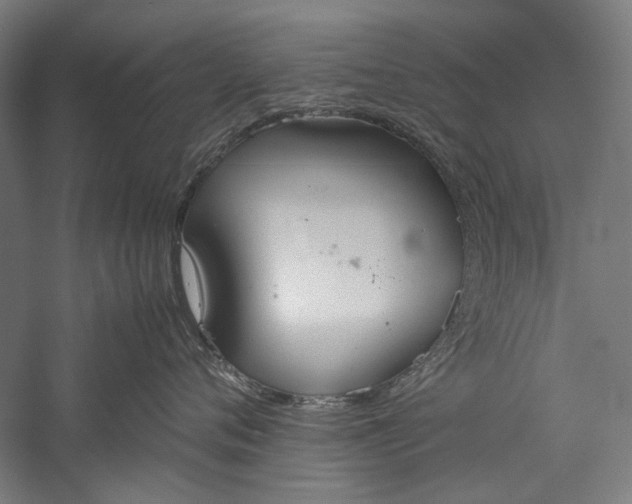 X0000057040720200509231447