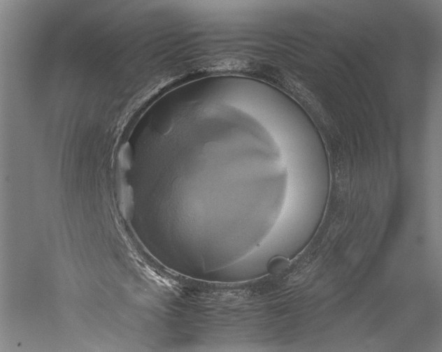 X0000057040721200509231446