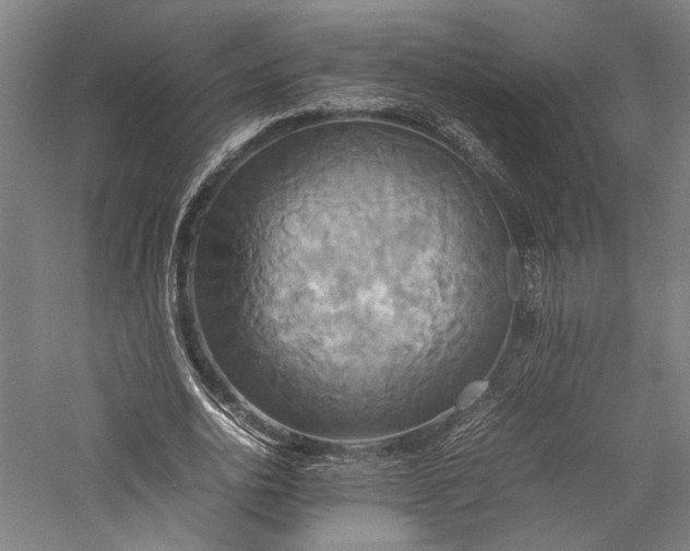 X0000057040726200509231446