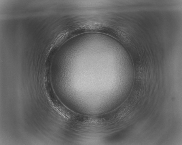 X0000057040738200509231446