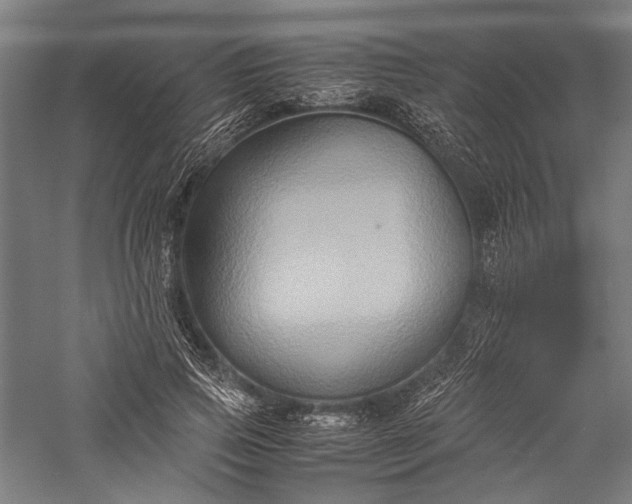 X0000057040741200509231446