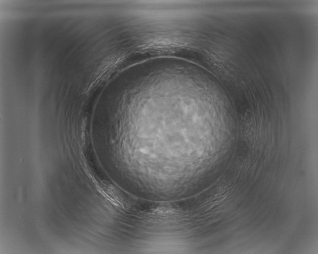 X0000057040742200509231446