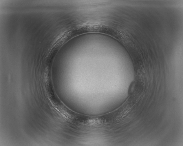 X0000057040744200509231446